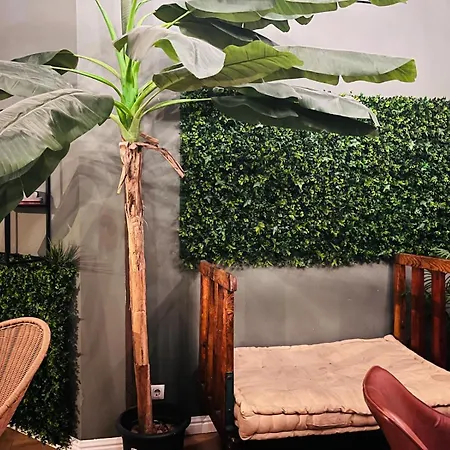 Black Swan Barcelona