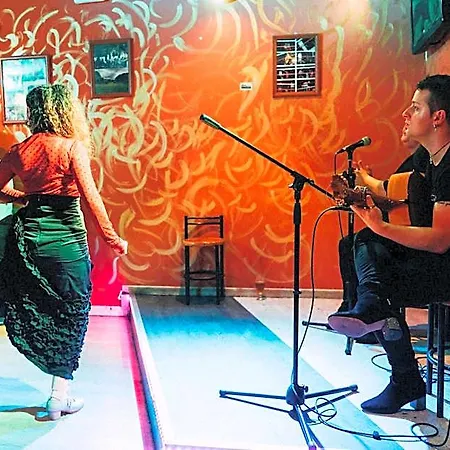 Black Swan Hostel *